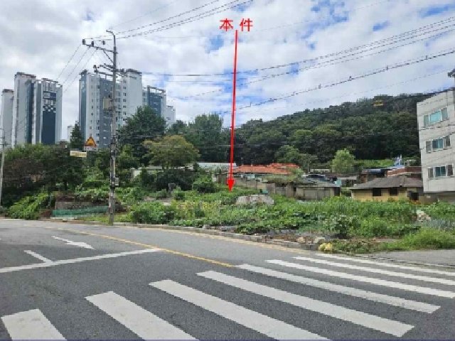 물건 사진